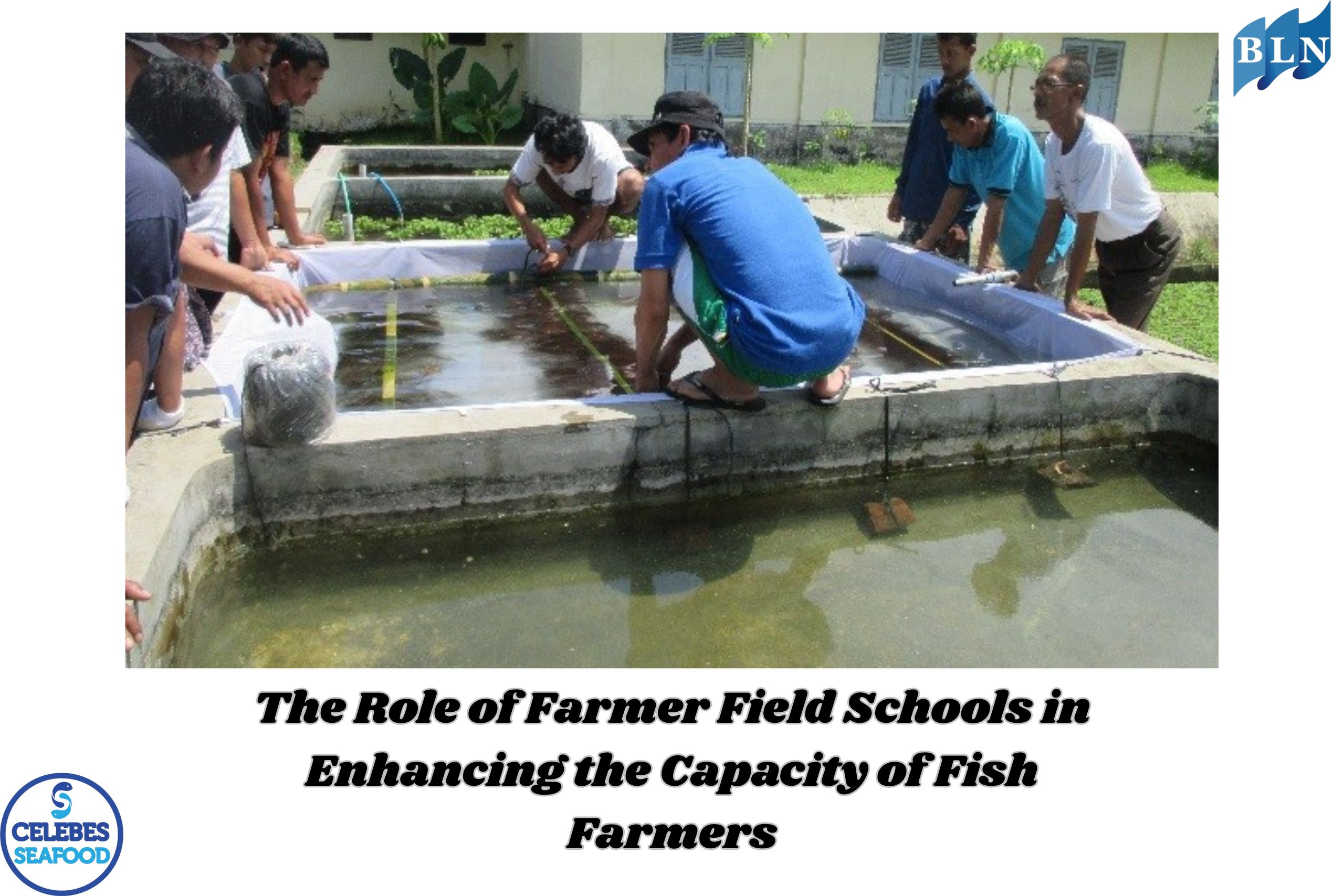 The Role of Farmer Field Schools in Enhancing the Capacity of Fish Farmers